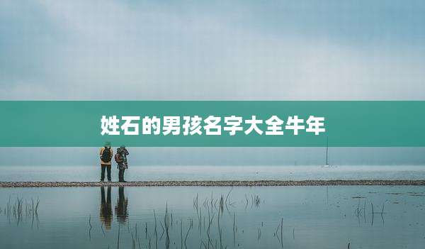 姓石的男孩名字大全牛年