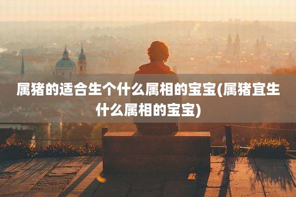 属猪的适合生个什么属相的宝宝(属猪宜生什么属相的宝宝)