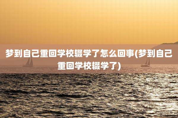 梦到自己重回学校辍学了怎么回事(梦到自己重回学校辍学了)