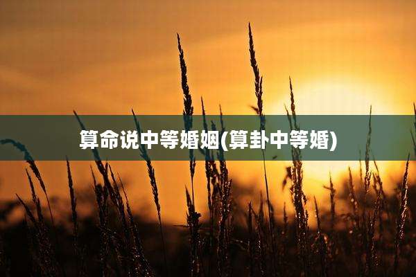 算命说中等婚姻(算卦中等婚)