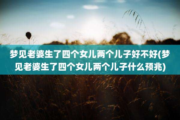 梦见老婆生了四个女儿两个儿子好不好(梦见老婆生了四个女儿两个儿子什么预兆)