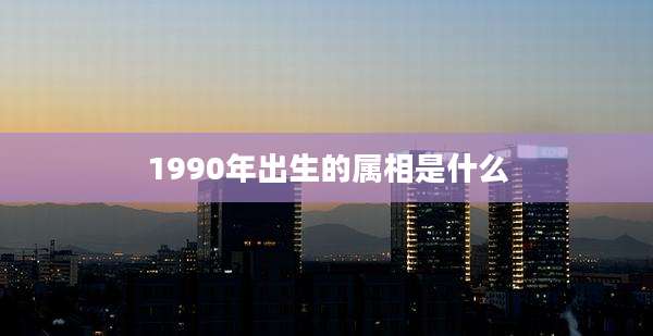 1990年出生的属相是什么