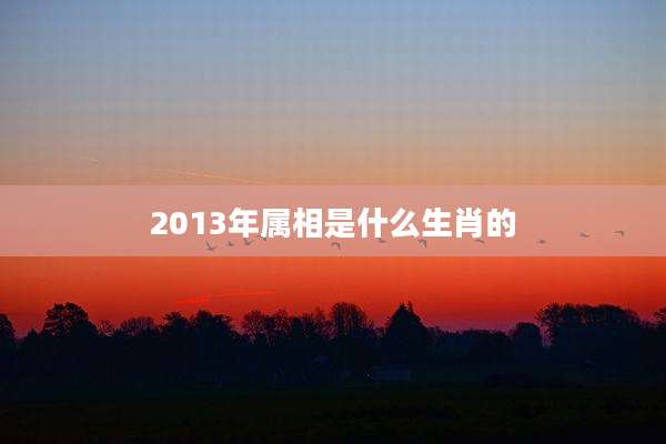 2013年属相是什么生肖的