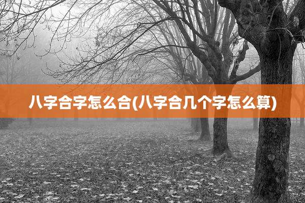 八字合字怎么合(八字合几个字怎么算)
