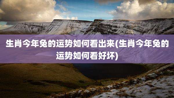 生肖今年兔的运势如何看出来(生肖今年兔的运势如何看好坏)