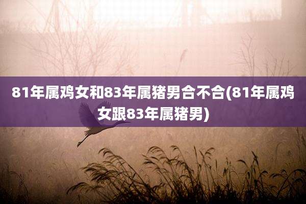 81年属鸡女和83年属猪男合不合(81年属鸡女跟83年属猪男)