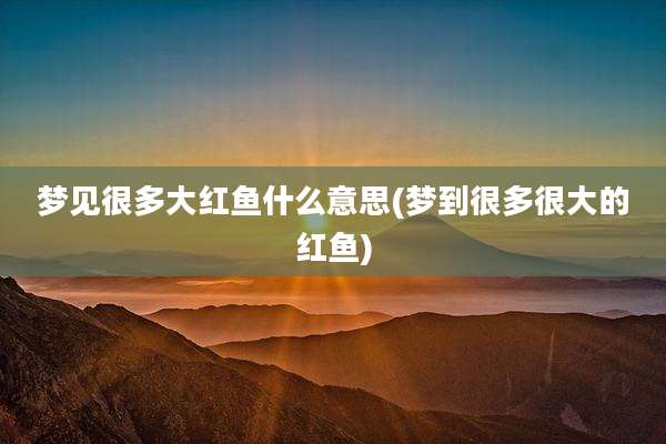 梦见很多大红鱼什么意思(梦到很多很大的红鱼)