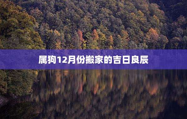 属狗12月份搬家的吉日良辰