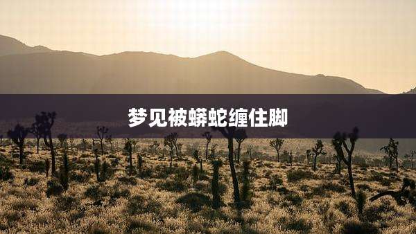 梦见被蟒蛇缠住脚