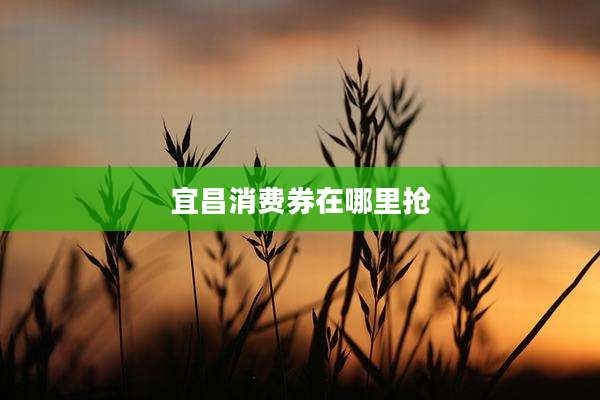 宜昌消费券在哪里抢