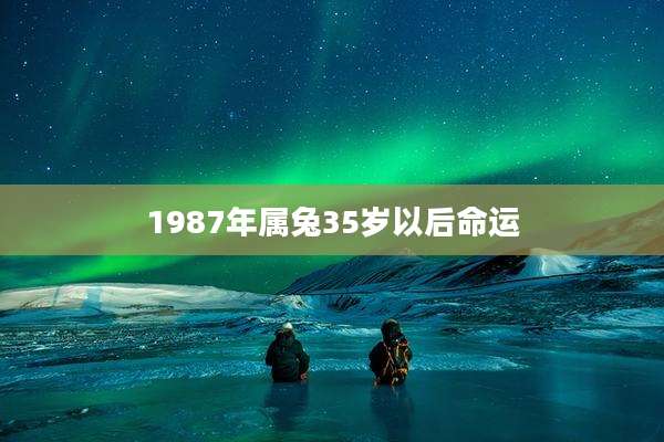 1987年属兔35岁以后命运