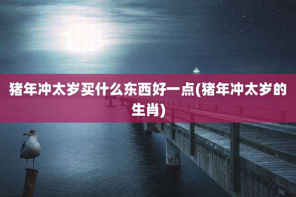 猪年冲太岁买什么东西好一点(猪年冲太岁的生肖)