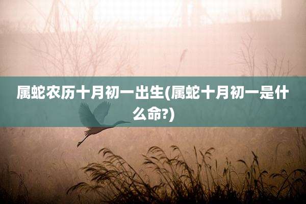 属蛇农历十月初一出生(属蛇十月初一是什么命?)