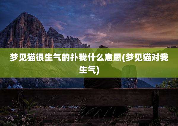 梦见猫很生气的扑我什么意思(梦见猫对我生气)