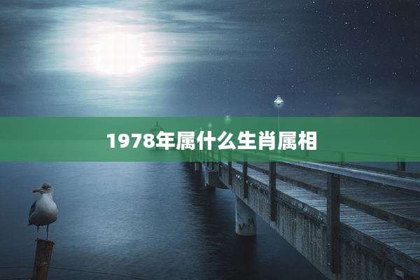 1978年属什么生肖属相