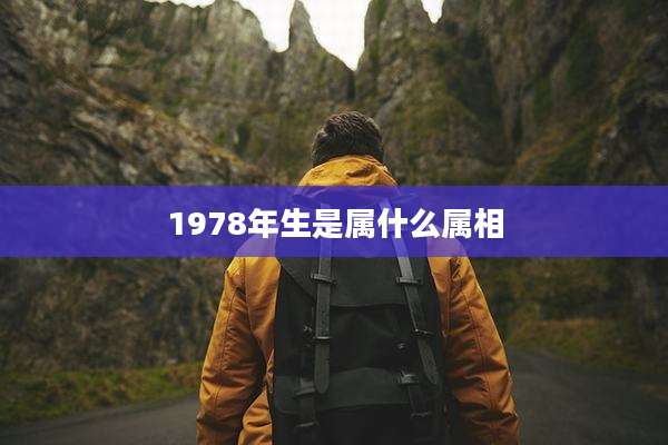 1978年生是属什么属相