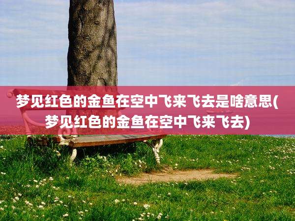 梦见红色的金鱼在空中飞来飞去是啥意思(梦见红色的金鱼在空中飞来飞去)