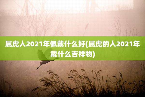 属虎人2021年佩戴什么好(属虎的人2021年戴什么吉祥物)