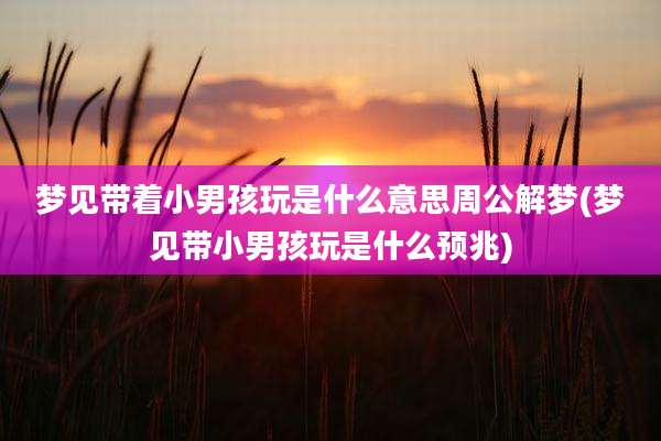 梦见带着小男孩玩是什么意思周公解梦(梦见带小男孩玩是什么预兆)