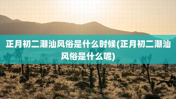 正月初二潮汕风俗是什么时候(正月初二潮汕风俗是什么呢)