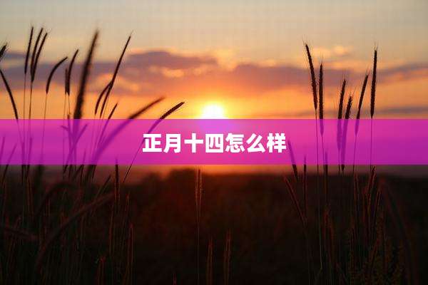 正月十四怎么样