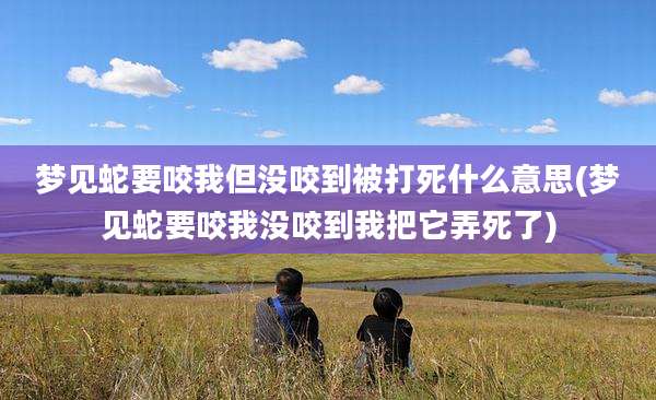 梦见蛇要咬我但没咬到被打死什么意思(梦见蛇要咬我没咬到我把它弄死了)