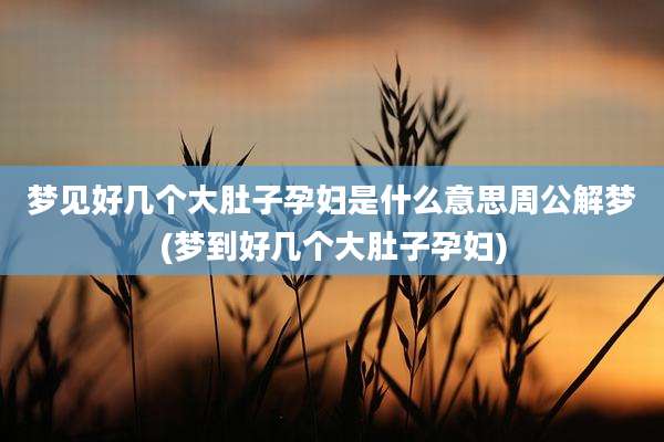 梦见好几个大肚子孕妇是什么意思周公解梦(梦到好几个大肚子孕妇)
