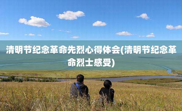 清明节纪念革命先烈心得体会(清明节纪念革命烈士感受)