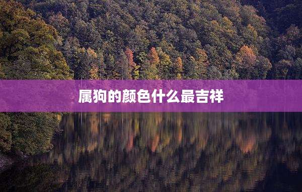 属狗的颜色什么最吉祥