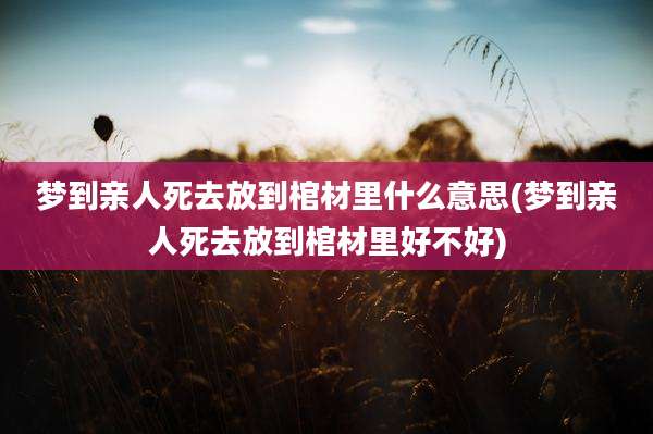 梦到亲人死去放到棺材里什么意思(梦到亲人死去放到棺材里好不好)