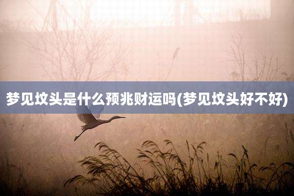 梦见坟头是什么预兆财运吗(梦见坟头好不好)