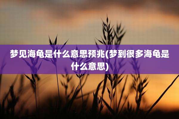梦见海龟是什么意思预兆(梦到很多海龟是什么意思)