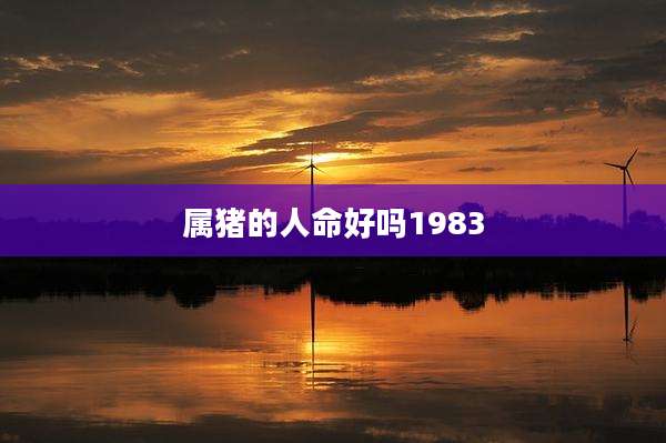 属猪的人命好吗1983
