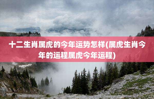 十二生肖属虎的今年运势怎样(属虎生肖今年的运程属虎今年运程)