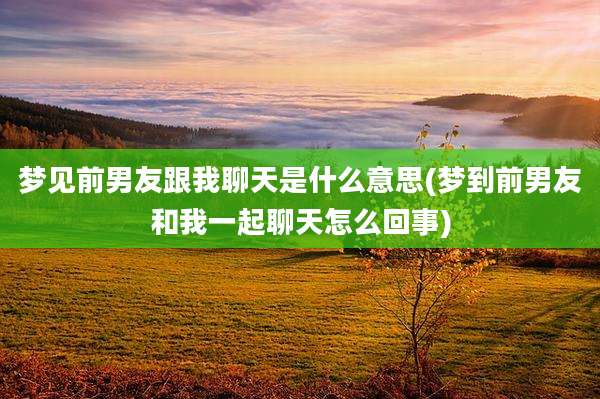 梦见前男友跟我聊天是什么意思(梦到前男友和我一起聊天怎么回事)