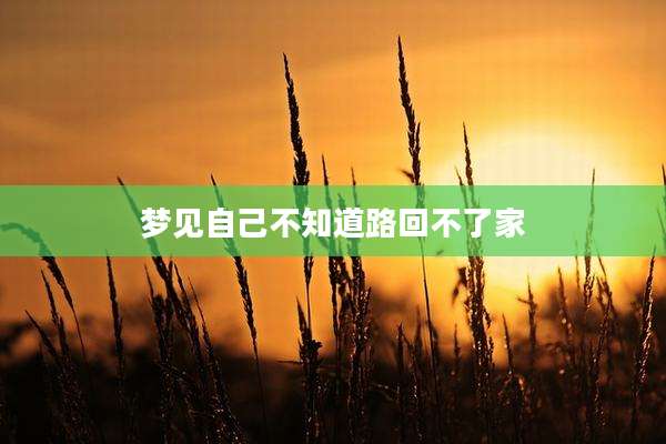 梦见自己不知道路回不了家