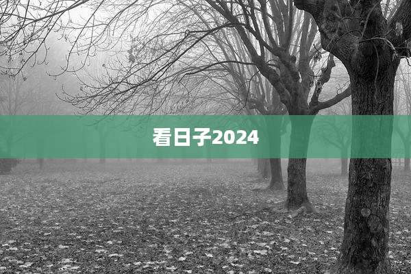 看日子2024