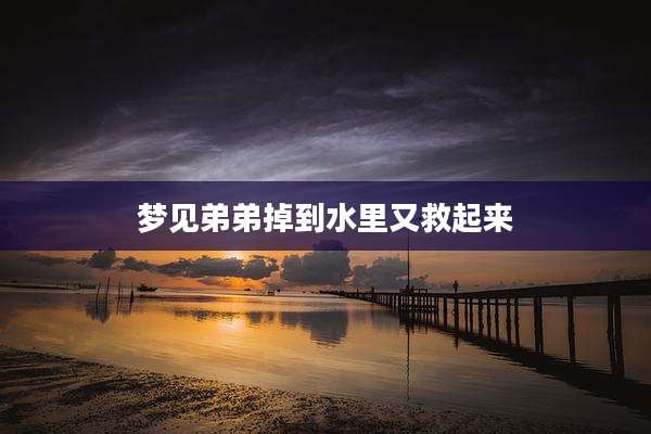 梦见弟弟掉到水里又救起来