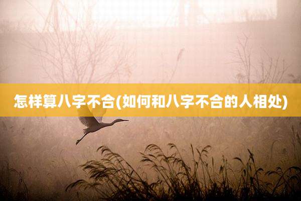 怎样算八字不合(如何和八字不合的人相处)