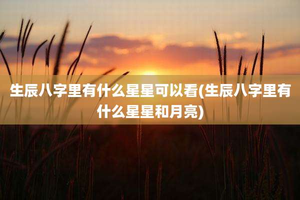 生辰八字里有什么星星可以看(生辰八字里有什么星星和月亮)