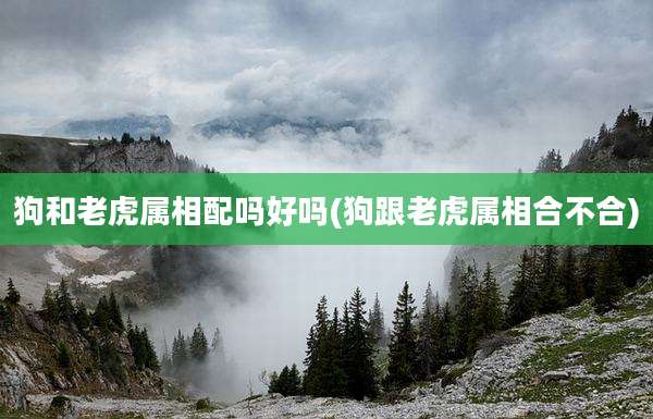 狗和老虎属相配吗好吗(狗跟老虎属相合不合)