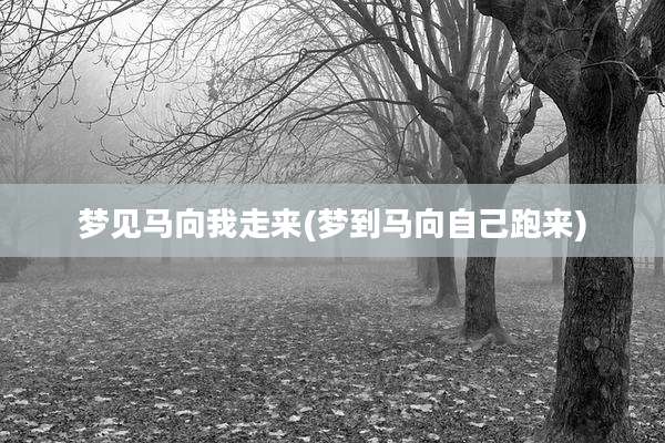 梦见马向我走来(梦到马向自己跑来)