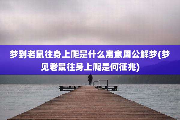 梦到老鼠往身上爬是什么寓意周公解梦(梦见老鼠往身上爬是何征兆)
