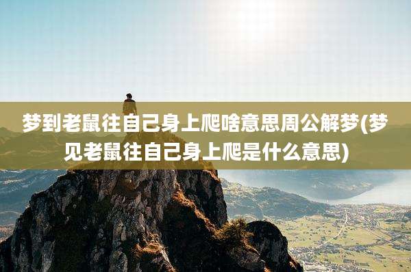 梦到老鼠往自己身上爬啥意思周公解梦(梦见老鼠往自己身上爬是什么意思)