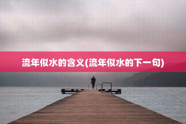流年似水的含义(流年似水的下一句)