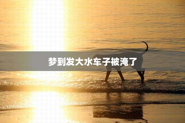 梦到发大水车子被淹了