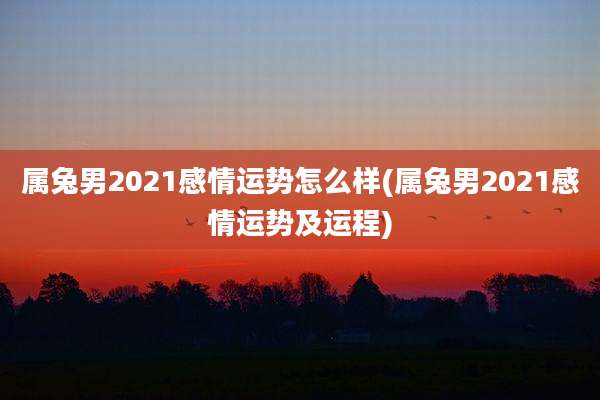 属兔男2021感情运势怎么样(属兔男2021感情运势及运程)