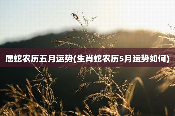属蛇农历五月运势(生肖蛇农历5月运势如何)