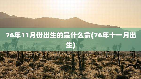 76年11月份出生的是什么命(76年十一月出生)