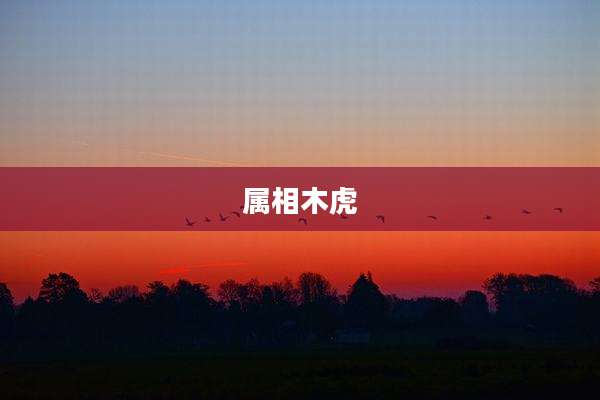 属相木虎